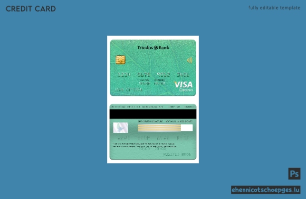 Vorschau der Triodos Bank Visa Electron Karte (Niederlande)